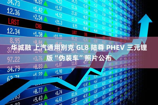 华城融 上汽通用别克 GL8 陆尊 PHEV 三元锂版“伪装车”照片公布