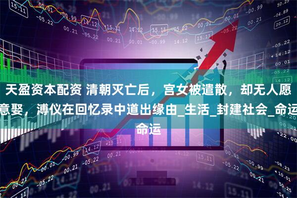 天盈资本配资 清朝灭亡后，宫女被遣散，却无人愿意娶，溥仪在回忆录中道出缘由_生活_封建社会_命运